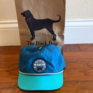 The Black Dog Blue and Teal Cap hat with Logo Patch and flexible brim